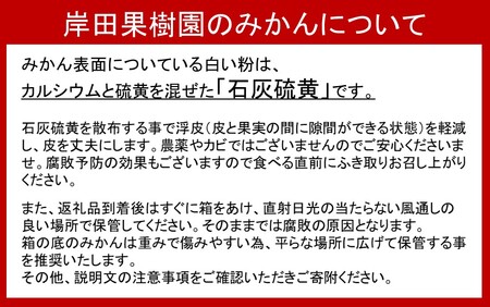 岸田果樹園プレミアム「温故蜜柑」約3.5kg_1274R
