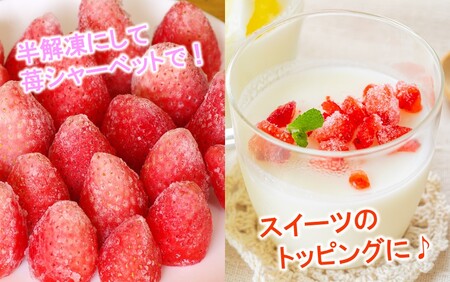 鮮度そのまま! 冷凍完熟いちご / ベリーツ&紅ほっぺ 1.2kg (300g×4P)_2418R