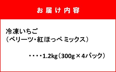 鮮度そのまま! 冷凍完熟いちご / ベリーツ&紅ほっぺ 1.2kg (300g×4P)_2418R