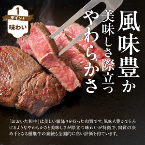 【黒毛和牛】おおいた和牛 半生 ビーフジャーキー 200g (40g×5P) レア つまみ 酒の肴_2392R-1