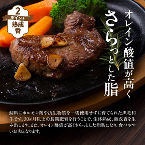 【黒毛和牛】おおいた和牛 半生 ビーフジャーキー 200g (40g×5P) レア つまみ 酒の肴_2392R-1