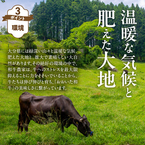 【黒毛和牛】おおいた和牛 半生 ビーフジャーキー 200g (40g×5P) レア つまみ 酒の肴_2392R-1