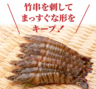 大ぶり車海老のエビフライ10尾セット_1114R