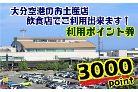 1341r 大分空港内の店舗で使える利用券 3000ポイント 大分県国東市 ふるさと納税サイト ふるなび