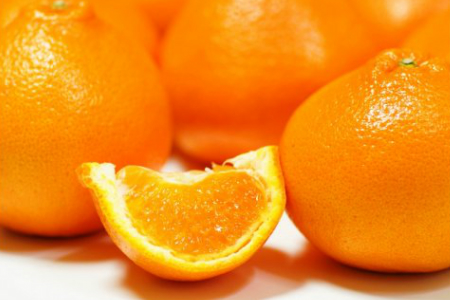 【令和8年2月から発送】荒木農園のはるみ4kg/弾ける果肉に感動のプレミアム蜜柑_1395R