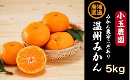 国東みかん5kg/小玉農園※令和2年1~2月発送分