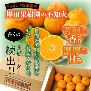 【先行予約】トンネルで貯蔵熟成/岸田果樹園の不知火 約5kg 令和8年2月より出荷開始_1440R
