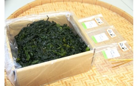 【令和8年発送/予約受付開始】立春採れの柔らか新芽!くにさき天然わかめ1.5kg_1443R
