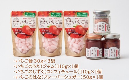 はっとりさんちのいちご飴Bセット_2526R