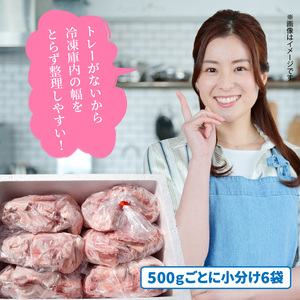 隔月でお届け！ 大分県産豚大容量切り落とし定期便 3kg×6回_2554R-2