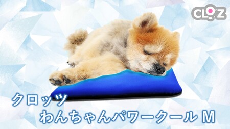 クロッツ わんちゃんパワークールM_2607R