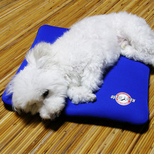 クロッツ わんちゃんパワークールM_2607R