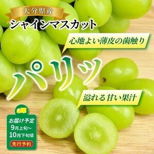 【先行予約】【令和8年出荷】おおいたの豊潤シャインマスカット約1.2㎏_2609R