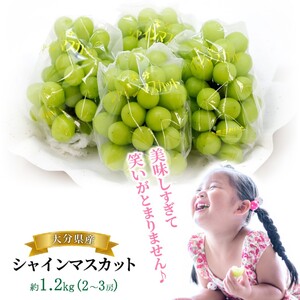 【先行予約】【令和8年出荷】おおいたの豊潤シャインマスカット約1.2㎏_2609R