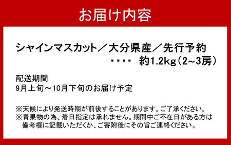 【先行予約】【令和8年出荷】おおいたの豊潤シャインマスカット約1.2㎏_2609R