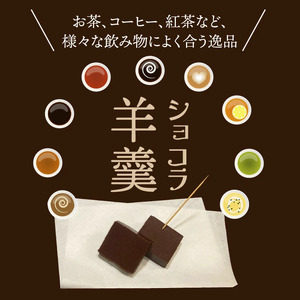 ショコラ羊羹 2本 チョコレート ようかん お茶うけ スイーツ デザート おやつ お菓子_2307R-2