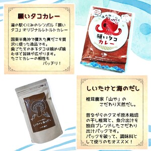 潮風香るふるさと 国見町からのおいしい贈りもの 大分県 セット 詰合せ カレー わかめ ひじき 梅干し えびせん 椎茸_2631R