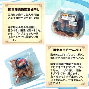 潮風香るふるさと 国見町からのおいしい贈りもの 大分県 セット 詰合せ カレー わかめ ひじき 梅干し えびせん 椎茸_2631R