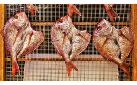 大きな天然鯛の一夜干し/3尾で1.2kg以上 _1061R