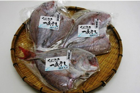 大きな天然鯛の一夜干し/3尾で1.2kg以上 _1061R