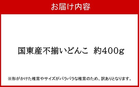 【訳あり】国東産不揃いしいたけ約400g（どんこ）_2634R-1
