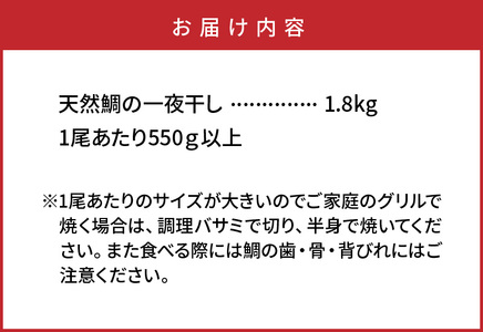 驚愕の大きさ！訳あり天然鯛の一夜干し1.8kg _1554R