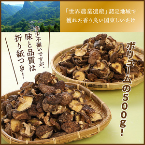 ボリュームの500g!国東しいたけ香ちゃん (徳用)_1735R