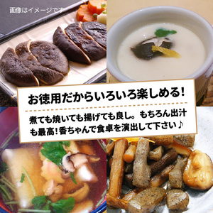 ボリュームの500g!国東しいたけ香ちゃん (徳用)_1735R