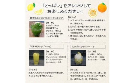 本格麦焼酎「とっぱい」(25度)の大盤振る舞い!・通_29006C