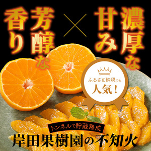 冷蔵発送/岸田果樹園の不知火約2kg_1744R