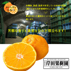 冷蔵発送/岸田果樹園の不知火約2kg_1744R
