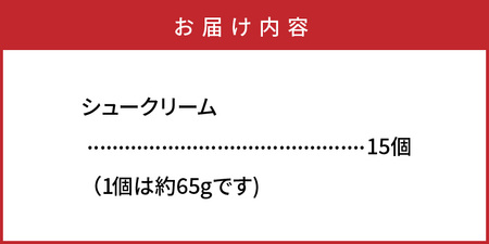 50年変わらない味!地元で人気のシュークリーム15個_1756R