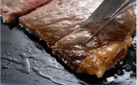 冷蔵発送/おおいた和牛サーロインステーキ600g_1792R