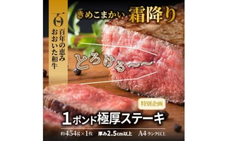 29365A_まさに肉のエアーズロック〃おおいた和牛１ポンド極厚ステーキ・通