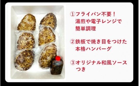 おおいた和牛と大分県産の豚を使った大分プレミアムハンバーグ6個入り(計960g)_1820R