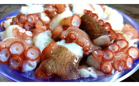 船上活き締め！生真だこぶつ切1kg（200g×5P）_1811R