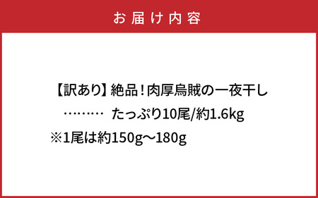 【ご好評につき2～3ヶ月待ち】【訳あり】絶品！肉厚するめ烏賊一夜干したっぷり10尾（1.6kg以上）_1836R
