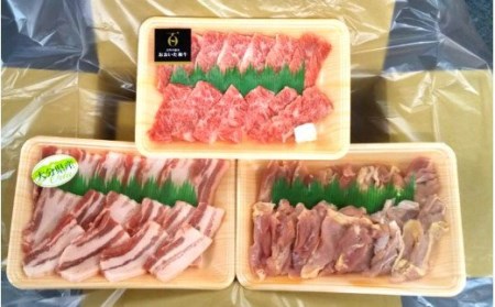 【A4～A5等級】バラエティー焼肉セット_1852R