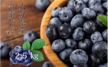 【ご家庭用】冷凍ブルーベリー2.5kg（大分県産）_1894R