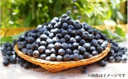 【ご家庭用】冷凍ブルーベリー2.5kg（大分県産）_1894R