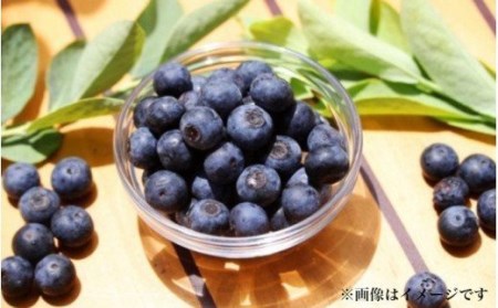 【ご家庭用】冷凍ブルーベリー2.5kg（大分県産）_1894R