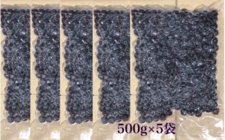 【ご家庭用】冷凍ブルーベリー2.5kg（大分県産）_1894R