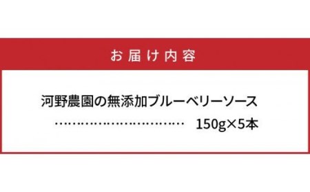 河野農園の無添加ブルーベリーソース150g×5本_1450R