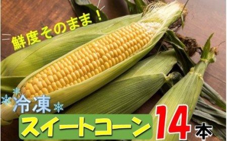 1979R_美味しさそのまま！まるごと冷凍スイートコーン 14本