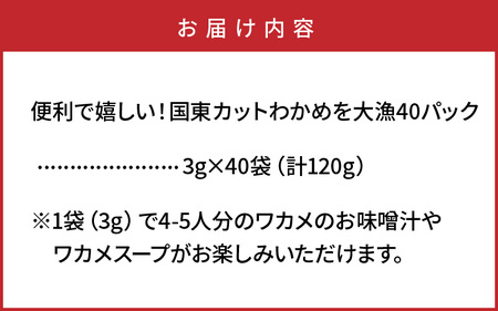 便利で嬉しい!国東カットわかめを大漁40パック_0005N