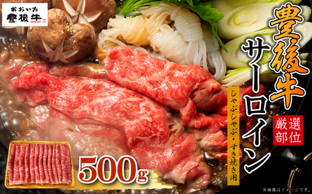 【厳選部位】豊後牛サーロインしゃぶしゃぶすき焼き用 500g　D19