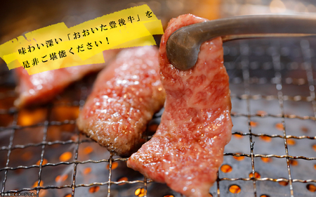 訳あり!【A4~A5】豊後牛焼肉切り落とし(肩ロース・バラ) 500g D23