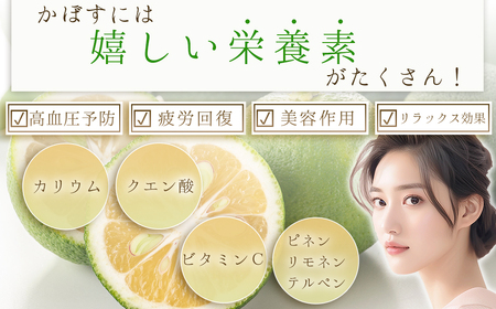 無添加 かぼす 果汁 大分県産 100％ カボス (5ml×10袋)　E1