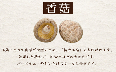 大分県産原木乾しいたけ 「ステーキ香菇(こうこ) 125ｇ」 F2