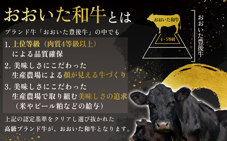 おおいた和牛もも肉ブロック【500g】 G16